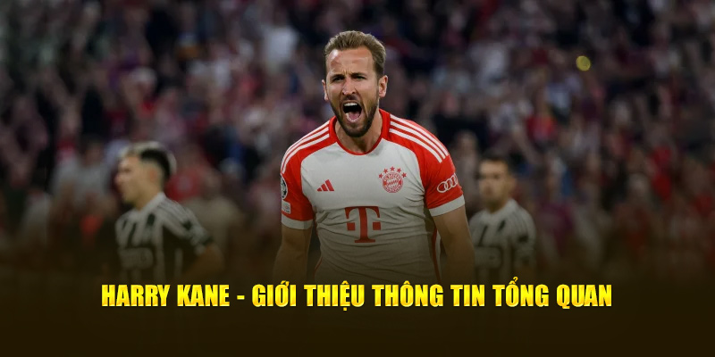 Harry Kane - Giới thiệu thông tin tổng quan