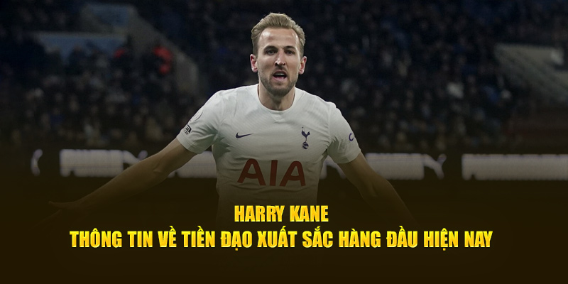 Harry Kane - Thông Tin Về Tiền Đạo Xuất Sắc Hàng Đầu Hiện Nay