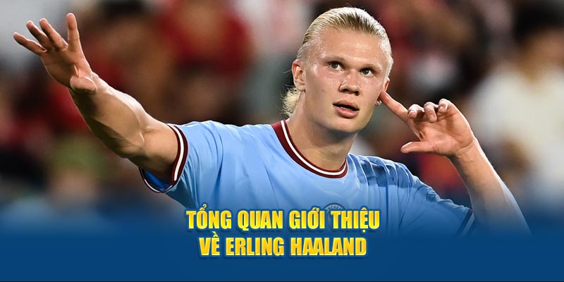 Tổng quan giới thiệu về Erling Haaland