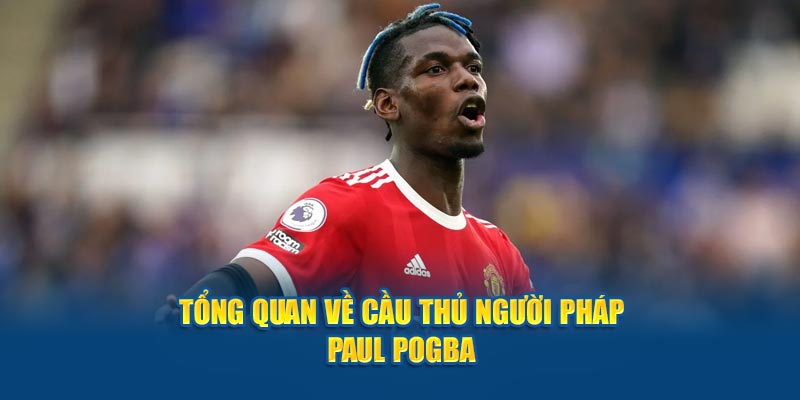 Tổng quan về cầu thủ người Pháp Paul Pogba